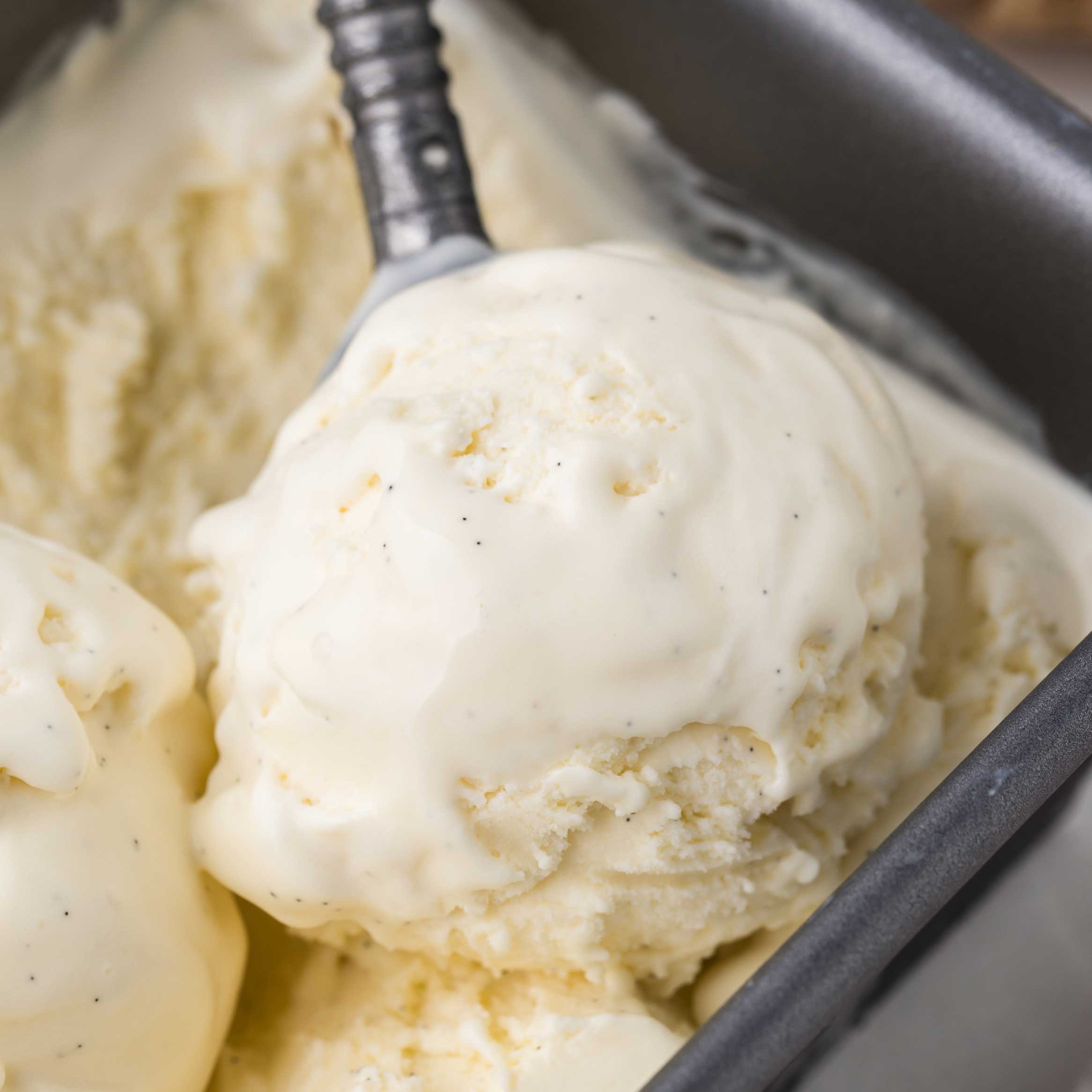 French Vanilla Ice Cream